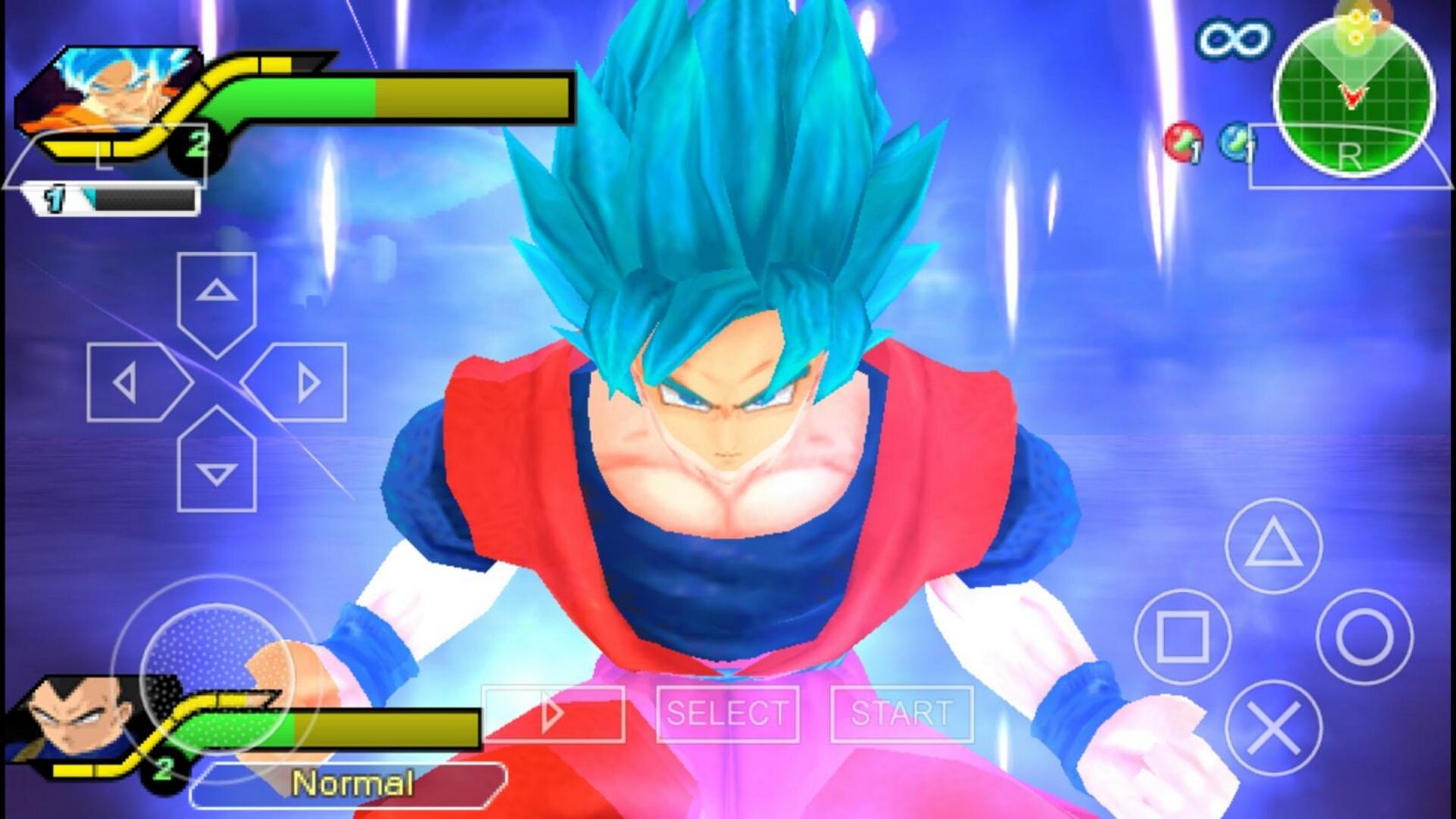Dragon Sphere Z: Equipo de etiqueta Tenkaichi